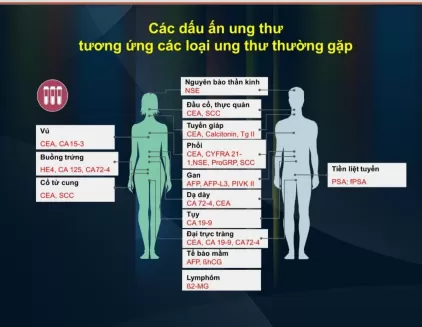 Gói xét nghiệm toàn diện (43 chỉ số)